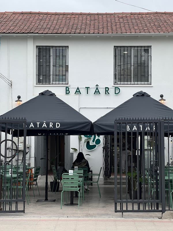Batârd Providencia